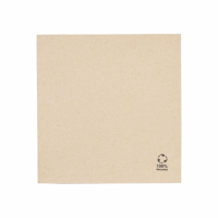 Servet gerecycled/ongebleekt 33x33cm ¼ vouw double point