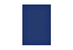 Magneetvel MAUL 200x300mm blauw
