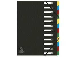 Exacompta HARMONIKA Voorordner Met Uitrekbare Rug, Karton, 12 indelingen, Zwart