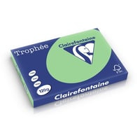 Papier CF A3 120g natuurgroen/pk250v