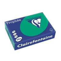 Papier CF A4 210g dennengroen/pk250v