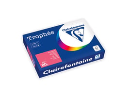 Papier Trophée A4 80g roze/pak 500v