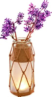 Jutekoord Folia 20m naturel