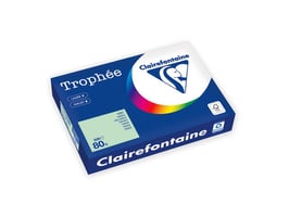 Papier Trophée A4 80g groen/pak 500v