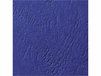 Schutblad A4 antelope k.blauw/pk 100 artikel afbeelding