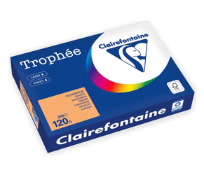 Papier Clairefontaine A4 120g or/pk250v