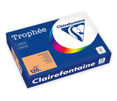 Papier Clairefontaine A4 120g or/pk250v