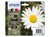 INKCARTRIDGE EPSON 18XL T1816 ZWART + 3 KLEUREN artikel afbeelding
