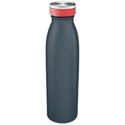 Drinkfles Leitz Cosy geïsoleerd grijs 500ml artikel afbeelding