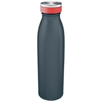 Drinkfles Leitz Cosy geïsoleerd grijs 500ml