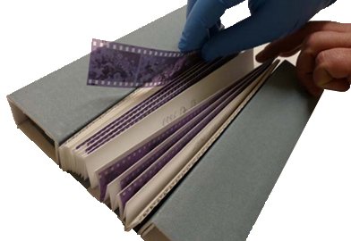 Stap 6 Negatieven worden in een accordeon geplaatst