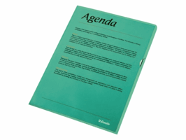 Insteekmap L-model Esselte standaard A4 0.11mm PP groen 100 stuks