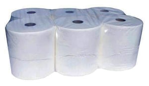 Toiletpapier Budget Mini Jumbo 2 laags 170 m 12 rollen