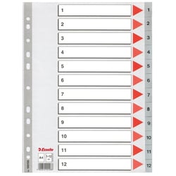 Tabblad Esselte A4 11r 1-12 PP grs