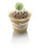 PLA dessert cup 250ml/96mm Ø