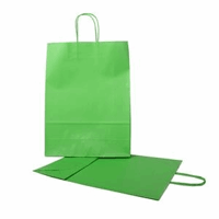 Papieren draagtas met gedraaide handgreep 22+10x31cm, 90 grams, kleur lichtgroen