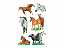 Etiket HERMA 3553 paarden rassen