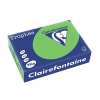 Papier CF A4 210g grasgroen/pk250v