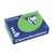 Papier CF A4 210g grasgroen/pk250v