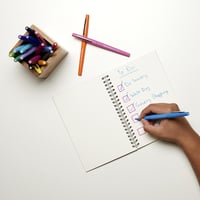 Fineliner Paper Mate Flair retro assorti 1.0mm blister à 6 stuks