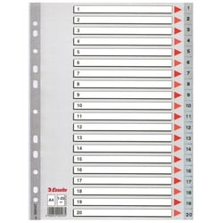 Tabblad Esselte 11r A4 PP 20tab index