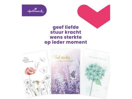 Wenskaart Hallmark condoleance NL/pk10