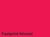 Kopieerpapier Quantore Colour A4 80gr felrood 100 vel
