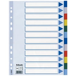 Esselte Gekleurde kunststof tabbladen A4 11 rings 2 x 6 kleuren