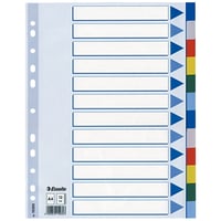 Esselte Gekleurde kunststof tabbladen A4 11 rings 2 x 6 kleuren
