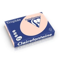 Papier Trophee CF A4 120g zalm/pk250v