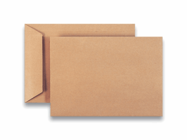Akte envelop gegomde klep - EC4 240 x 340 mm, 100 g/m² (pak 250 stuks)