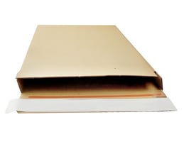 Brievenbusdoos FlatBox F12 250x50x350, plak- en scheurstrip