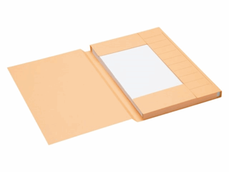 DOSSIERMAP SECOLOR FOLIO CHAMOIS artikel afbeelding