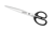 Schaar SPLS 250 mm/10 RVS/PP artikel afbeelding