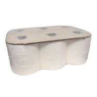 Handdoekrol Euro Mini Motion, cellulose - 2 laags