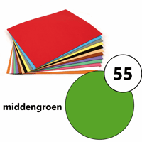 FOTOKARTON FOLIA 2ZIJDIG 50X70CM 300GR NR55 GRASGN artikel afbeelding
