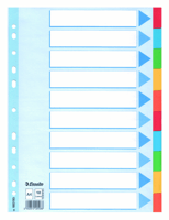 Tabbladen Esselte Standaard A4 10-delig karton 11-rings met voorblad assorti