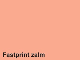Kopieerpapier Quantore Colour A4 80gr zalm 500 vel