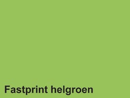 Kopieerpapier Quantore Colour A4 120gr helgroen 100 vel