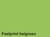 Kopieerpapier Quantore Colour A4 160gr helgroen 50 vel