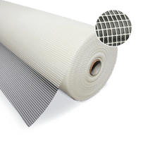 Wapeningsgaas Niet zelfklevend 25cm x 100m Wit