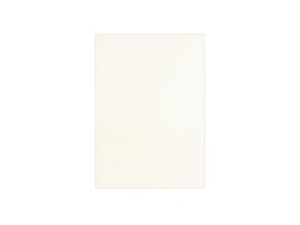 Schutblad BLP leather A4 wit/pk 100