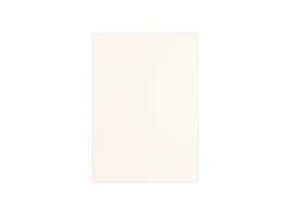 Schutblad BLP leather A4 wit/pk 100