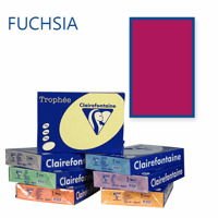 Clairefontaine Trophee kopieerpapier A4 210x297 120 g/m². Kleur: Roze / Paars. Artikelcode: 1219 (Doos à 5 Pak à 250 Vel)