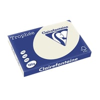 Papier CF A3 120g parelgrijs/pk250v