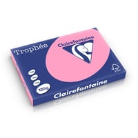 Papier CF A3 120g fel roze/pk250v