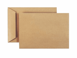 Staples Akte envelop gegomde klep bruin kraft 230 x 310 mm, 90 g/m² (pak 250 stuks)