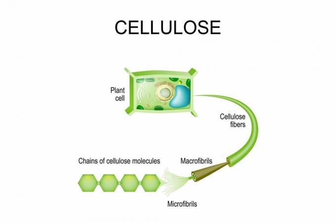 Cellulose