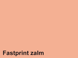 Kopieerpapier Quantore Colour A4 120gr zalm 250 vel