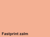 KOPIEERPAPIER FASTPRINT A4 120GR ZALM artikel afbeelding